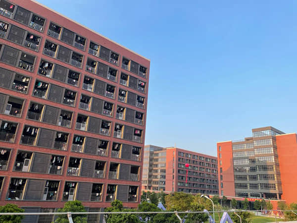 上半年需求改善，国内涤纶龙头桐昆股份净利预增超8倍